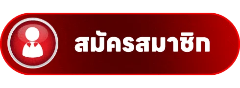AKIN888 เข้าสู่ระบบปลอดภัยด้วย SSL 256 บิต